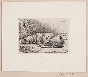 En sovende hund