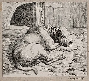 En sovende lænkehund by Madsen, A.P.