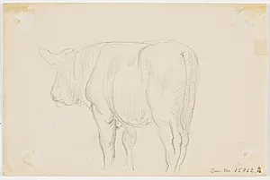 En stående ko set bagfra by Theodor Philipsen