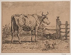En stående ko by Madsen, A.P.