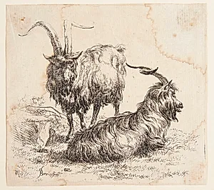 En stående og en liggende ged by Nicolaes Berchem