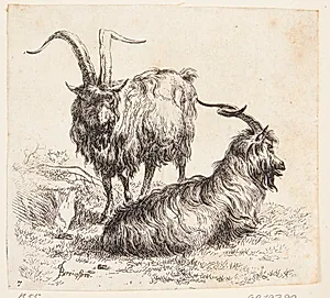 En stående og en liggende ged by Nicolaes Berchem