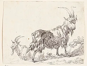 En stående og en liggende ged by Nicolaes Berchem