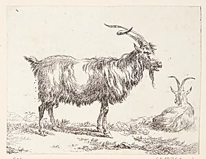 En stående og en liggende ged by Nicolaes Berchem