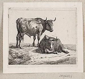 En stående tyr og en liggende ko by Johannes Wilhelm Zillen