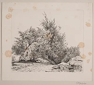 En stor rullesten by Vilhelm Kyhn