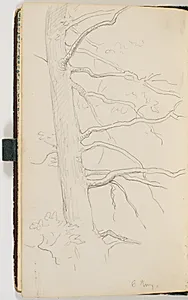 En træstamme med grene by P.C. Skovgaard