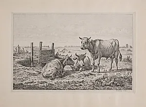 En tyr og to køer by Madsen, A.P.