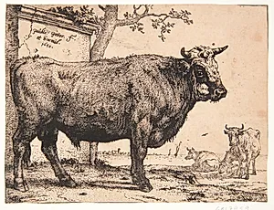 En tyr by Paulus Potter