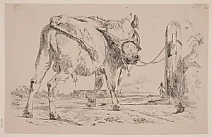 En tyrekalv bundet til en ledstolpe by Johan Thomas Lundbye