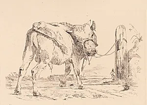 En tyrekalv bundet til en ledstolpe by Johan Thomas Lundbye