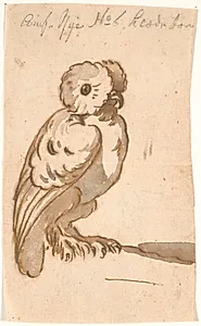 En ugle by Nicolai Abildgaard