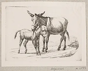 Et æsel med sit føl by Johannes Wilhelm Zillen