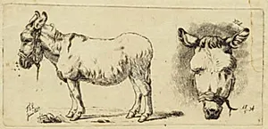 Et æsel, plaget af fluer og et æselhoved set forfra by Johan Thomas Lundbye