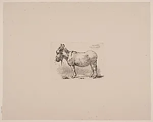 Et æsel, plaget af fluer by Johan Thomas Lundbye