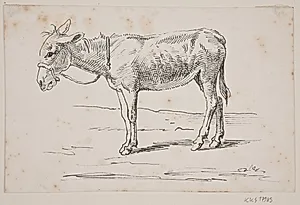 Et æsel by Wilhelm Marstrand