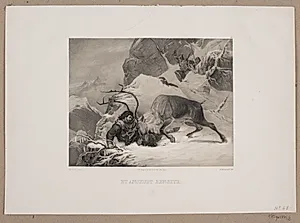 Et anskudt rensdyr by Adolph Kittendorff