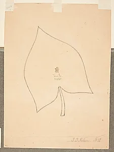 Et blad by Peter Hansen