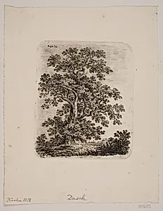 Et egetræ by Anton Carl Dusch