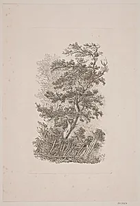 Et egetræ by J.P. Møller
