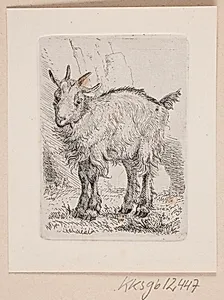 Et gedekid by Johannes Wilhelm Zillen