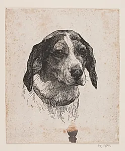 Et hundehoved