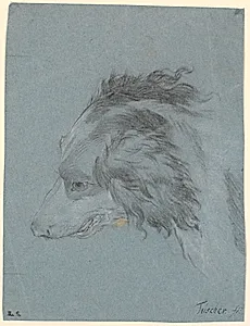 Et hundehoved by Marcus Tuscher