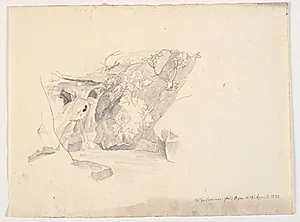 Et klippeparti, med sparsom bevoksning by Johann Caspar Weidenmann