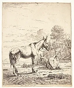 Et mulæsel med en klokke om halsen by Karel Du Jardin