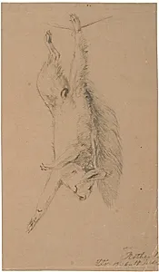 Et ophængt dødt egern by Lorenz Frølich