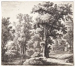 Et skovbryn by Anthonie Waterloo