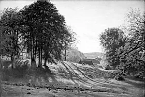 Et skovbryn by C.A. Kølle