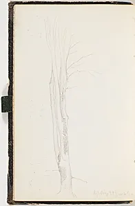 Et slankt nøgent træ by P.C. Skovgaard