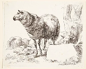 Et stående får by Nicolaes Berchem