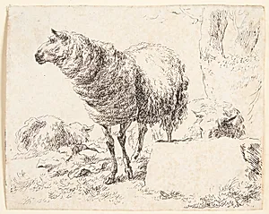 Et stående får by Nicolaes Berchem
