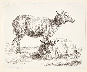 Et stående og et liggende får by Nicolaes Berchem
