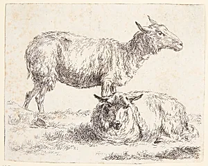 Et stående og et liggende får by Nicolaes Berchem