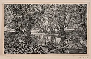 Et stille vand i Dyrehaven