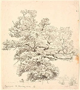 Et stort egetræ, hvorunder der sidder en tegnende mand. by P.C. Skovgaard