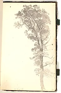 Et stort træ by P.C. Skovgaard