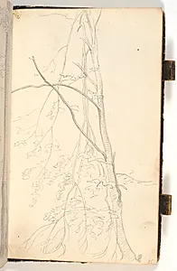 Et træ med knækkede grene by P.C. Skovgaard