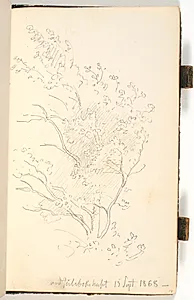 Et træ med løv by P.C. Skovgaard