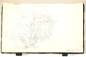 Et træ by P.C. Skovgaard