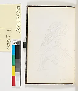 Et træ by P.C. Skovgaard