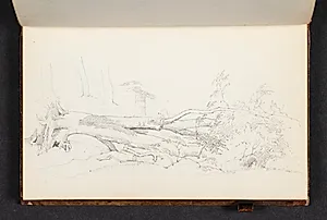 Et væltet træ by Christen Købke