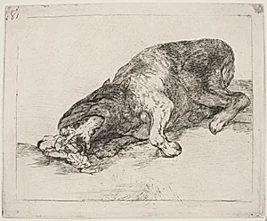 Et vildt uhyre (81) by Francisco de Goya