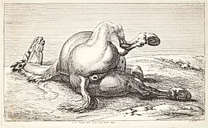 Falden hest, set bagfra by Jan van Huchtenburg