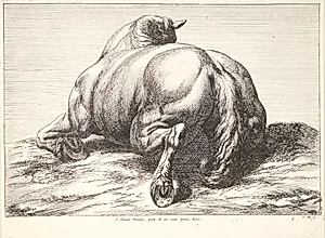 Falden hest, set bagfra by Jan van Huchtenburg
