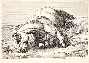 Falden hest, set forfra by Jan van Huchtenburg