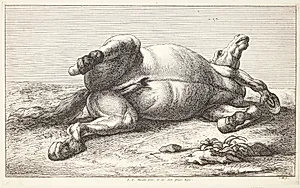 Falden hest by Jan van Huchtenburg